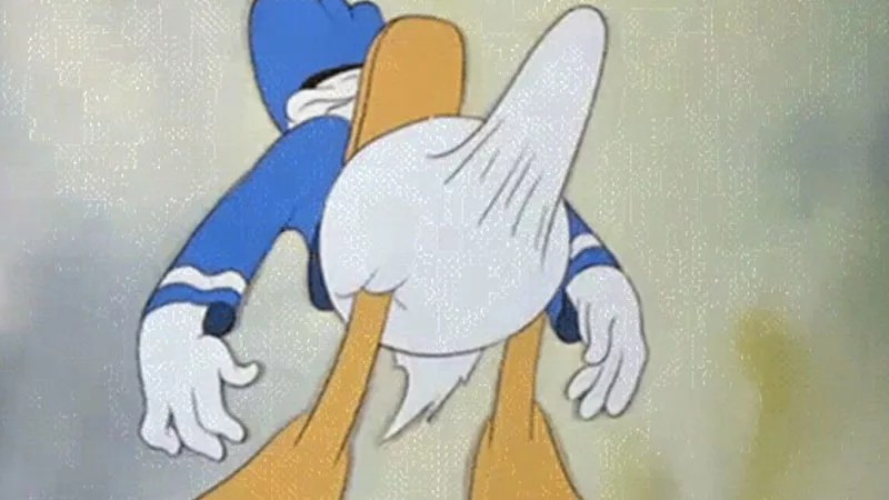 Create meme: Donald duck , Donald duck boner, Donald duck meme