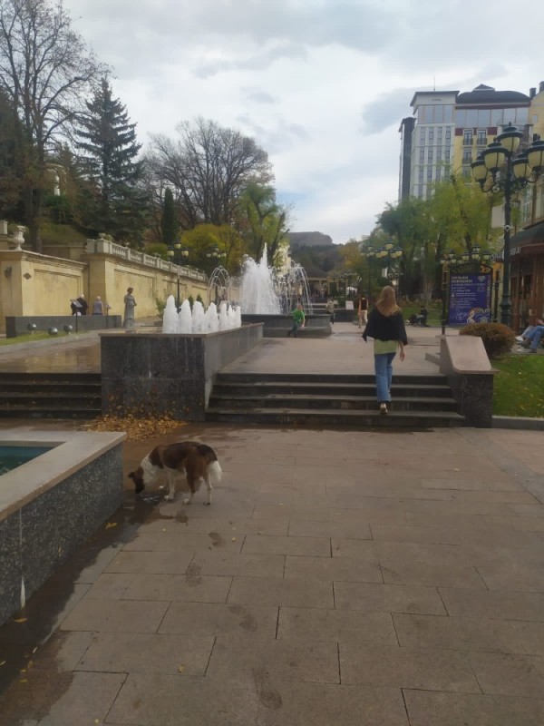Create meme: kislovodsk fountain, kislovodsk park, resort boulevard kislovodsk