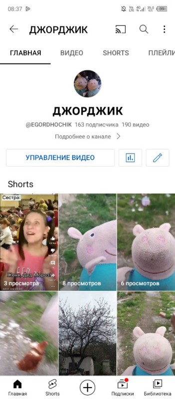 Create meme: screenshot , mumps , big pig