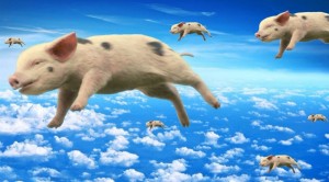 Создать мем: свинья бежит, pigs fly, животные свинья