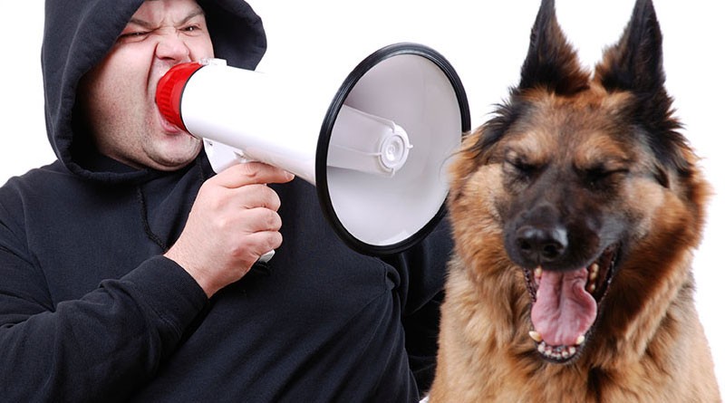 Создать мем: собака с микрофоном, собака дрессировка, человек кричит на собаку