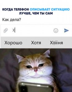 Создать мем: кот с мобильником, котик, кот коооот