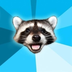 Create meme: raccoon, raccoon, lame