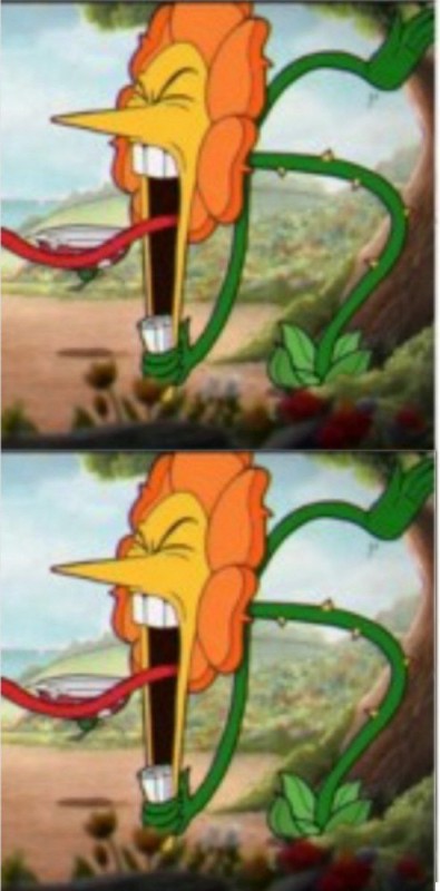 Создать мем: pikabu monster, cuphead кэгни гвоздика, кричащий цветок cuphead