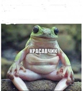 Create meme: the frog thought, frog, toad
