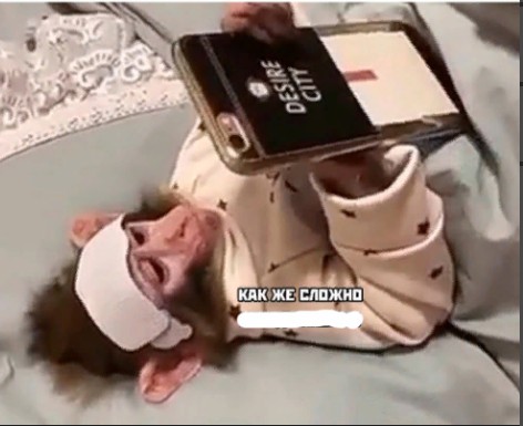 Создать мем: обезьяна и телефон, обезьяна лежит с телефоном, мартышка с телефоном