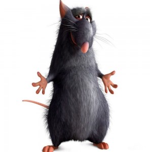 Create meme: rat Ratatouille meme, Remy Ratatouille, Ratatouille rats