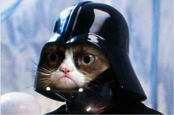 Create meme: Darth Vader memes, cat Vader, darth vader star wars