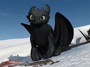 Create meme: dragon toothless, day fury, toothless the night fury