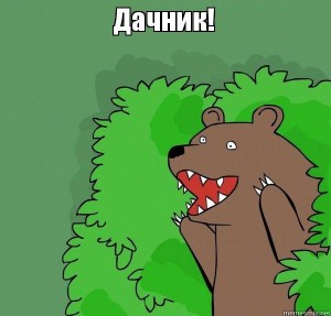 Create meme: bear in the bushes, bear from the bushes picture, meme bear from the bushes to create