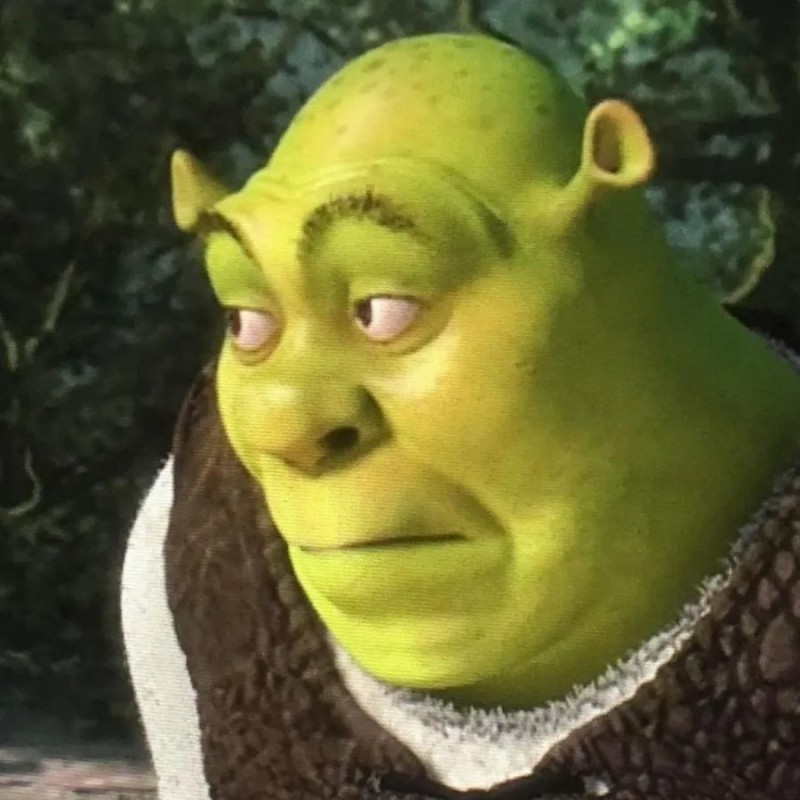 Create meme: surprised Shrek meme, Shrek 2 , meme Shrek 