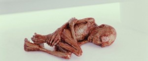 Создать мем: мумия человека, эмбрион волан де морта, мумифицированное тело