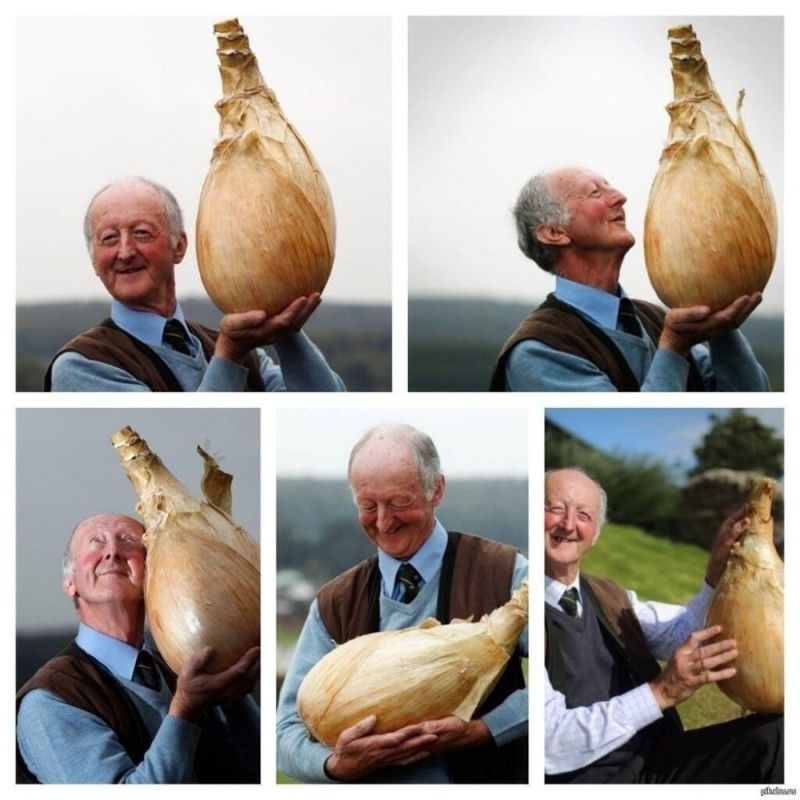 Создать мем: мужчина и большая луковица, здоровая луковица, дед с луковицей