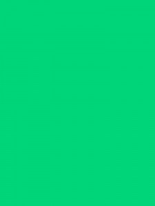 Create meme: solid color, green solid