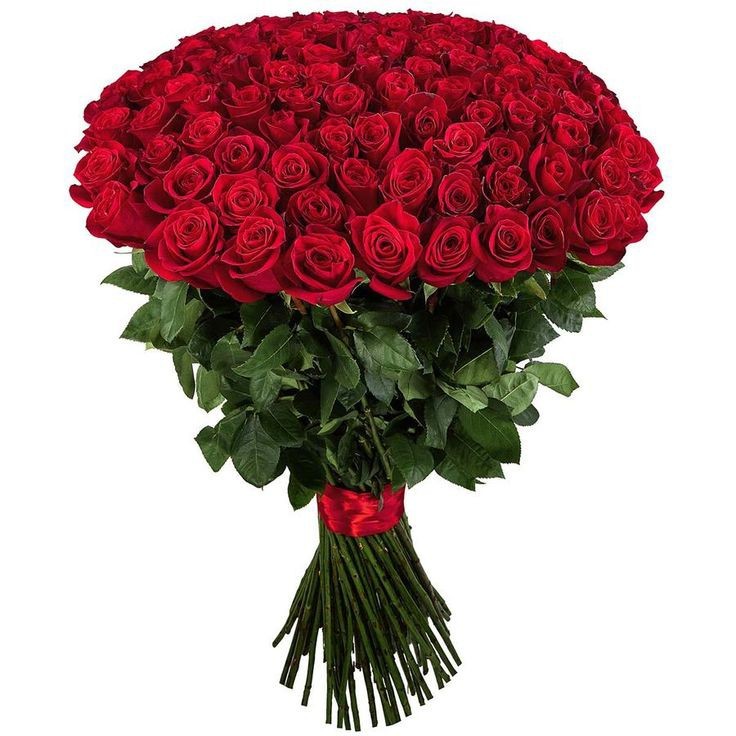 Create meme: bouquet of roses , red roses bouquet, bouquet of 101 roses 