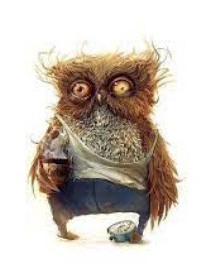 Create meme: sleepy owl, sleepy owl, owl in the morning
