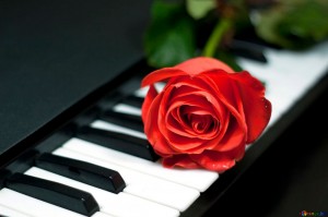 Create meme: piano keys and love beautiful, photos piano music and flowers, roses on a piano gif