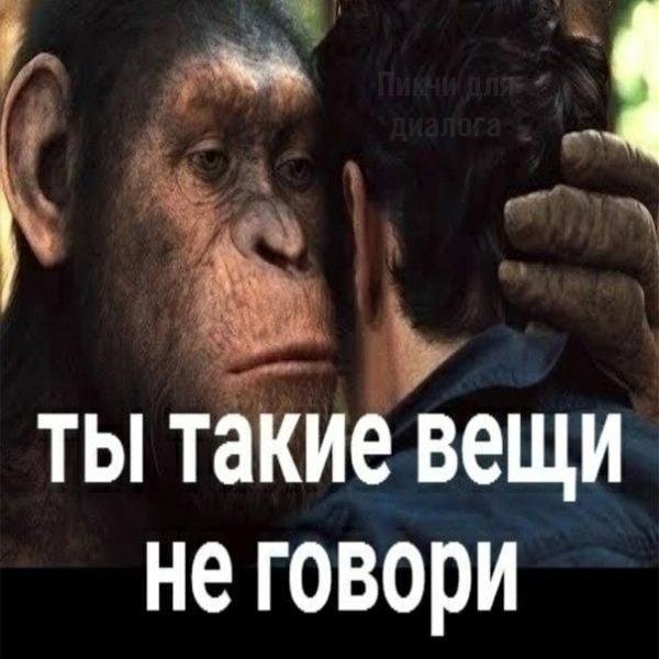 Создать мем: мемы, планета обезьян мем, мем с обезьяной