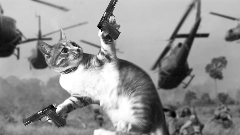 Create meme "cat , the Vietnam flashbacks , Vietnam flashback cat"...
