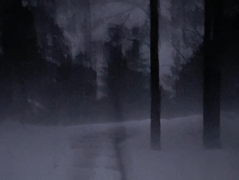 Create meme: forest fog, snow , nature 