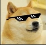 Create meme: meme dogs, thug life meme