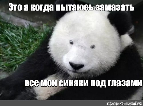 Панда без кругов. Панда без кругов под глазами. Панда без черных кругов под глазами. Мем Панда без пятен. Панда без черных кругов Мем.
