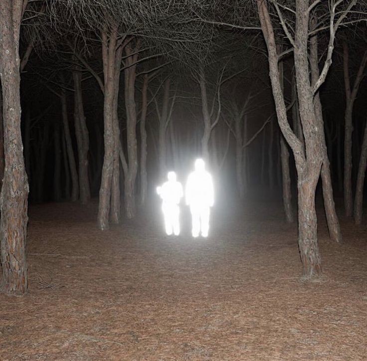 Создать мем: найди своих, паранормальная, страшный лес ночью