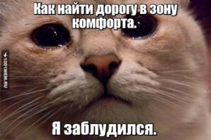 Создать мем: плачущие коты мемы, котик плачет мем, кот плачет мем