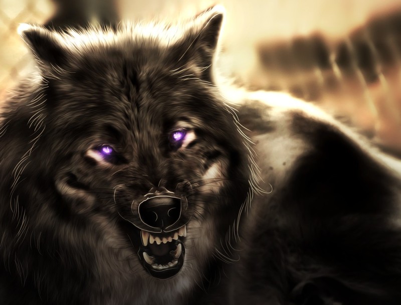 Create meme: bad wolf, The black wolf's grin, werewolf grin