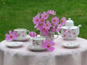 Create meme: morning flowers, the flowers of the tea party in the garden pictures, the tea party