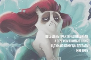 Создать мем: Grumpy Cat, весь день практически святая а вечером снимаю нимб картинки, grumpy cat arielle