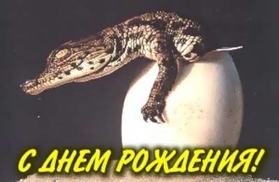 Создать мем: открытка, самка крокодила откладывает яйца, с днем рождения змея