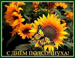 Create meme: butterfly on a sunflower, sunflower , beautiful sunflowers