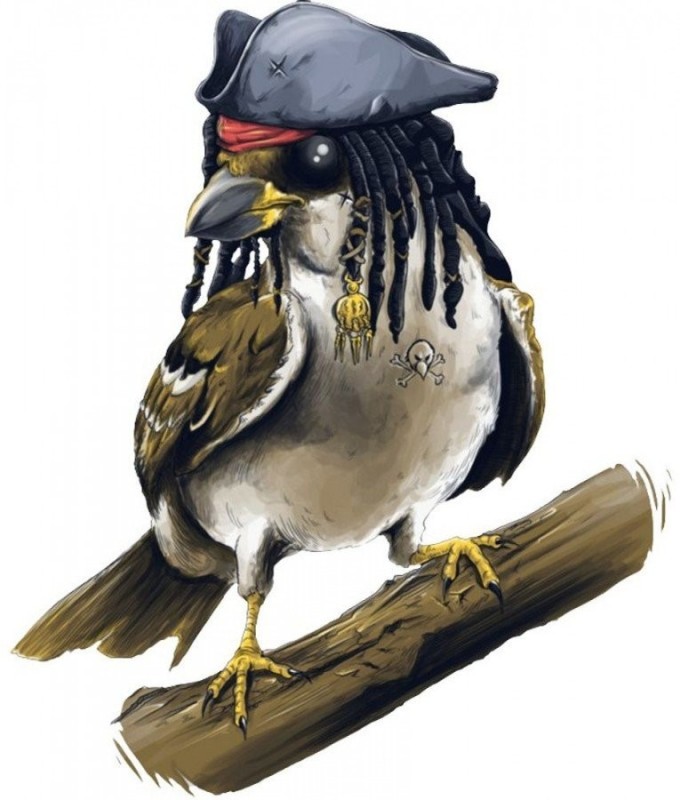 Create meme: Jack sparrow sparrow bird, Bird sparrow Jack sparrow, Sparrow Captain Jack Sparrow bird
