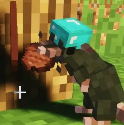 Create meme: mind of minecraft, survival minecraft, minecraft Alex