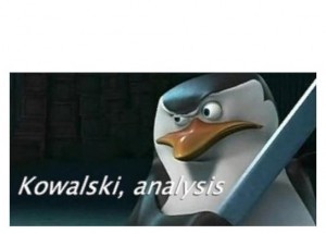 Create meme: piç, Kowalski analysis, Kowalski analysis meme