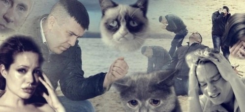 Create meme: cat , sadness , memes 