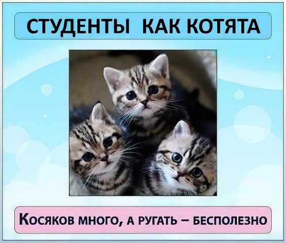 Создать мем: полосатые котята, кому нужны котята бесплатно, котик просит