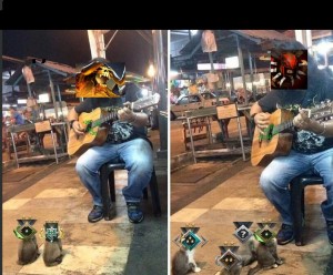 Create meme: selfie with the guitar, kitty musician, dwarves street musician and a music lover