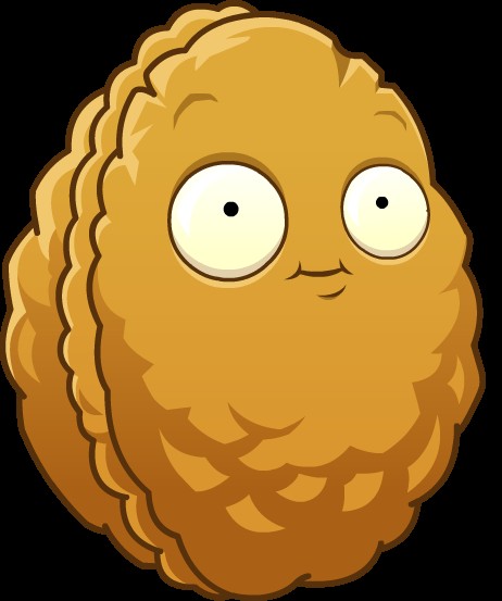 Create meme: nut from a plant against zombies, stenorech plants vs zombies, nut plants vs zombies