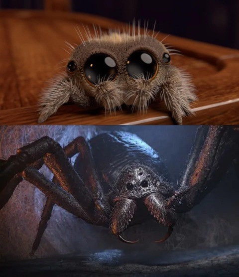 Create meme: cute spiders, lucas spider, the cutest spider