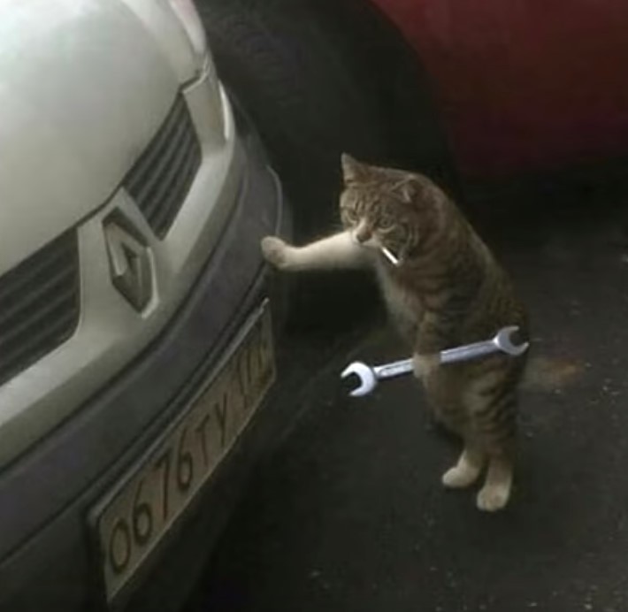 Create meme: cat with a wrench, cat repairs car, cat 