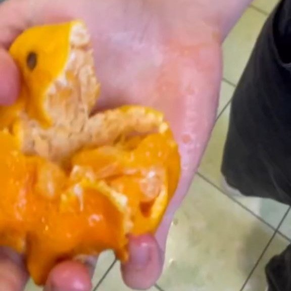 Create meme: food , feces after persimmons, juicy orange