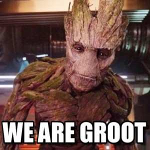 Create meme: We are Groot 