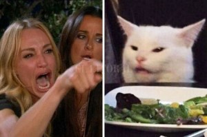 Создать мем: мем с котом и женщиной, Кошка, woman yelling at a cat мем