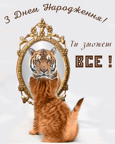 Create meme: mirror tiger, the cat in the mirror is a tiger, animals 
