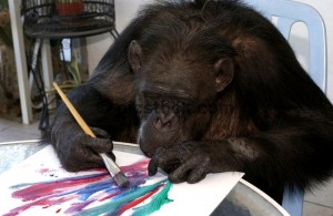 Создать мем: пьер брассо, шимпанзе рисует, шимпанзе конго