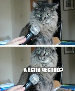 Создать мем: а вы знали, мем кот с микрофоном, сэр вы осознаете что вы кот