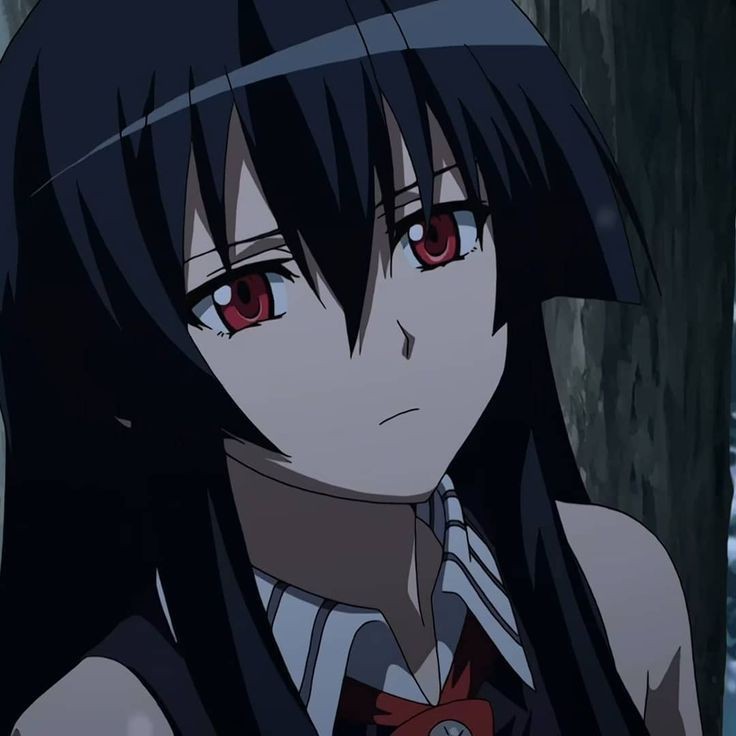 Create meme: Akame's killer!, akame ga, Akame from the Akame Killer