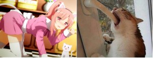 Create meme: neko maid expectation and reality, neko, anime fans